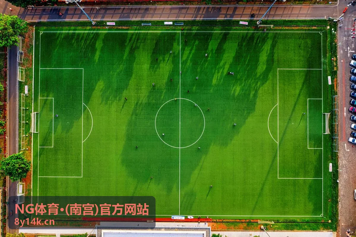 NG体育·(南宫)官方网站南宫综合馆篮球嘉年华场地